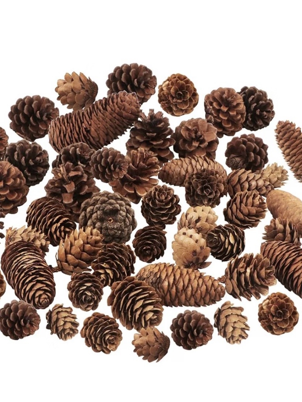 Natural Brown Pine Cone Mix for Home Holiday Decor